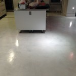 Light hone, extractor cleaning and concrete sealing after